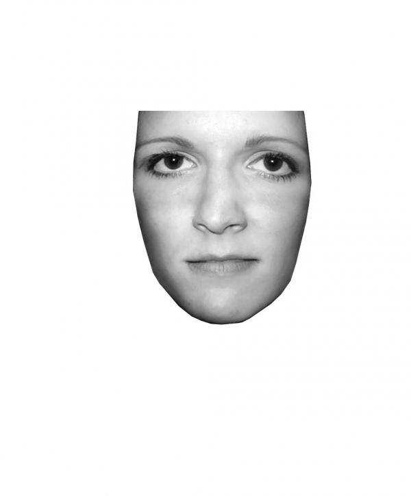 Creation of keep my head way up high: Step 1